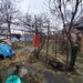 Straulesti, teren de vanzare.